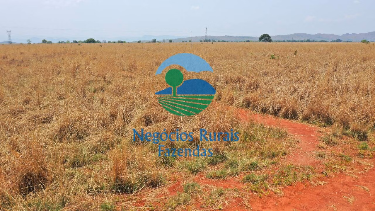 Fazenda de 760 ha em Palmeirópolis, TO