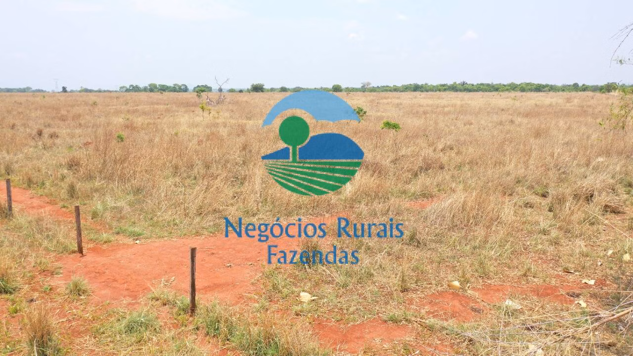 Fazenda de 760 ha em Palmeirópolis, TO