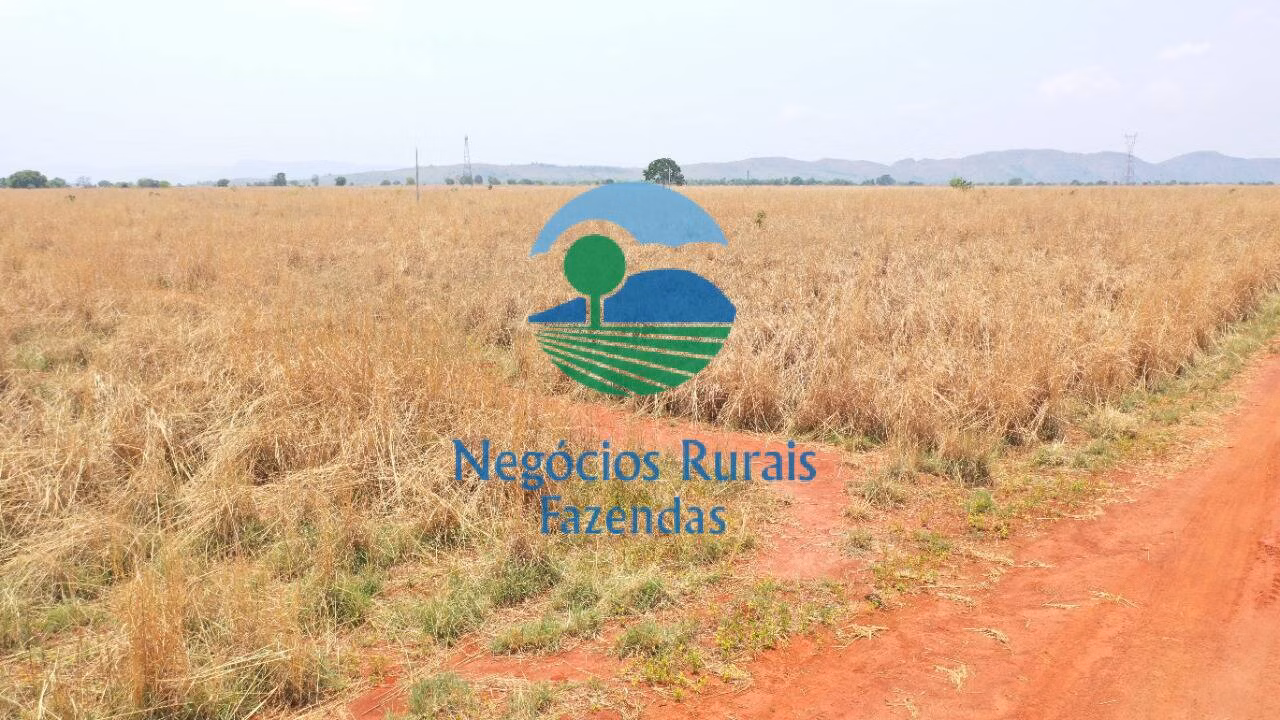 Fazenda de 760 ha em Palmeirópolis, TO