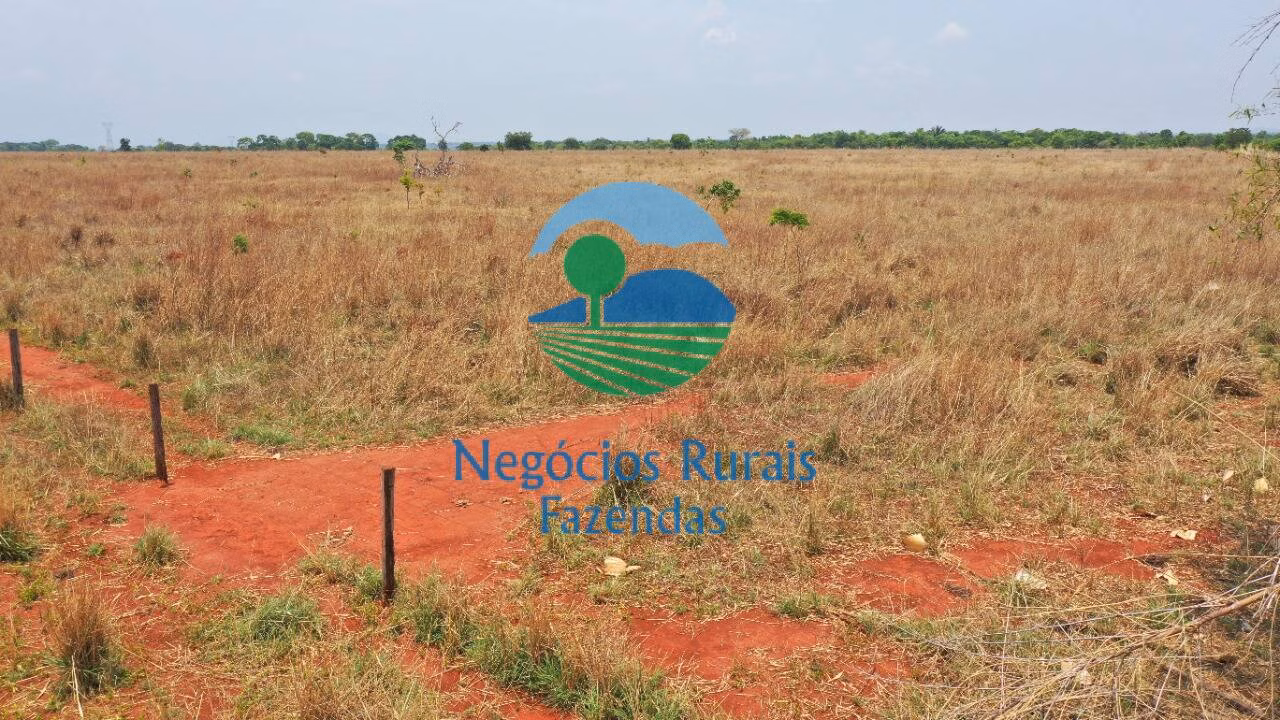 Fazenda de 760 ha em Palmeirópolis, TO