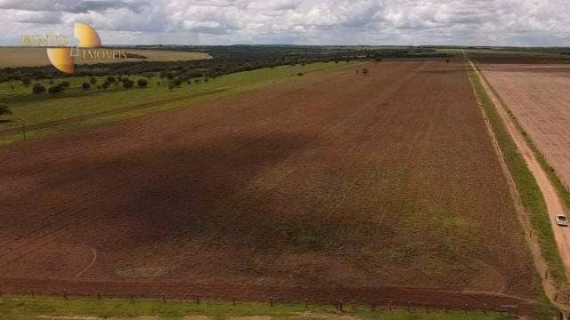 Fazenda de 800 ha em Água Boa, MT