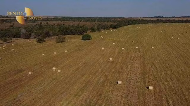 Fazenda de 800 ha em Água Boa, MT