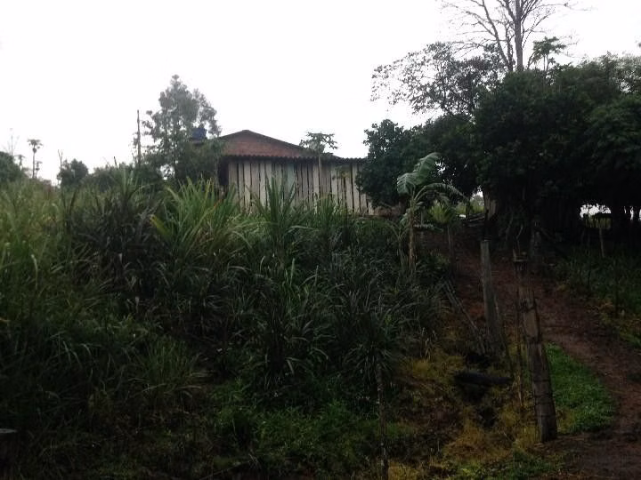 Terreno de 2 ha em Santo Antônio da Patrulha, RS