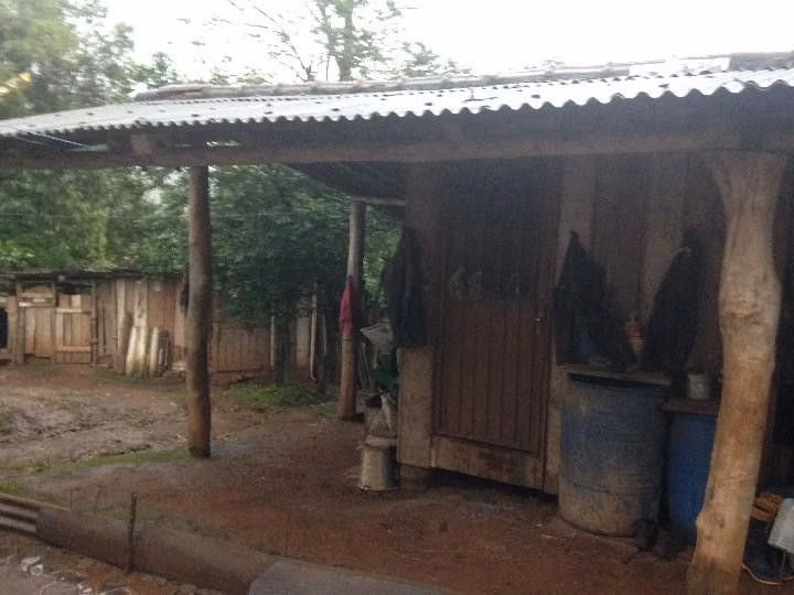 Terreno de 2 ha em Santo Antônio da Patrulha, RS