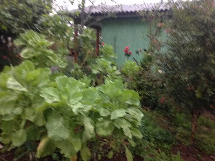 Terreno de 2 ha em Santo Antônio da Patrulha, RS
