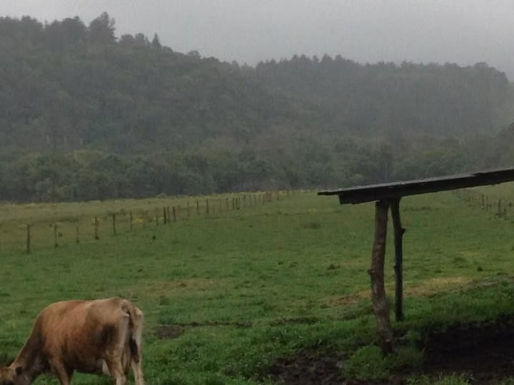 Terreno de 2 ha em Santo Antônio da Patrulha, RS