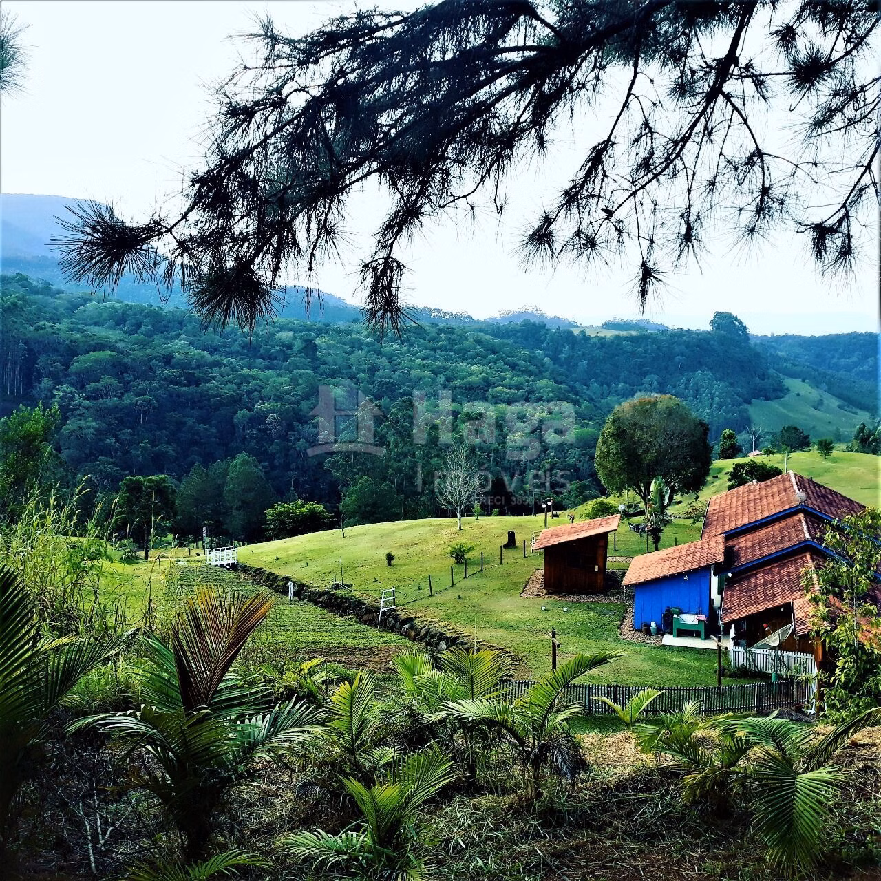 Fazenda de 20 ha em Ibirama, SC