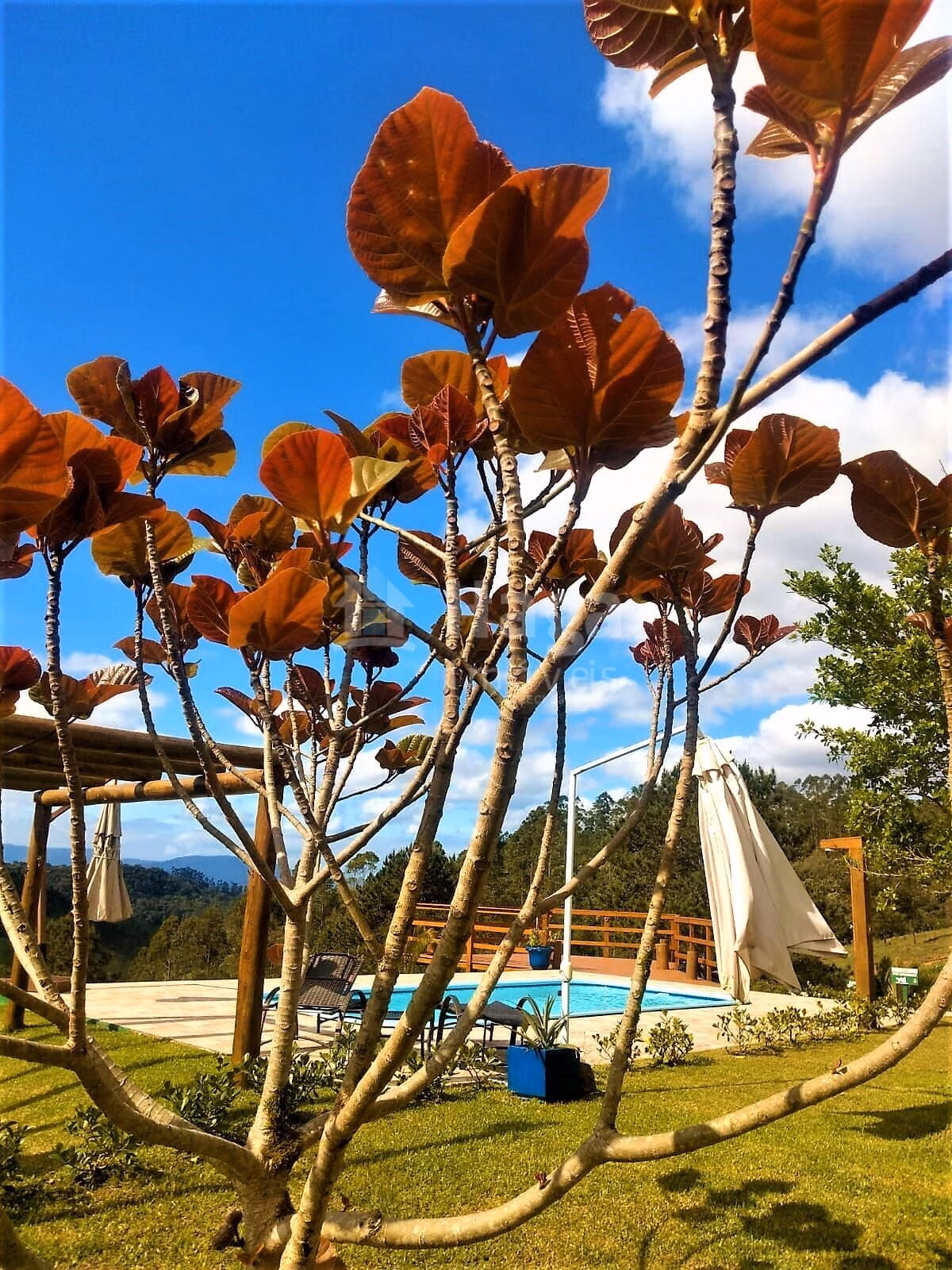 Fazenda de 20 ha em Ibirama, SC