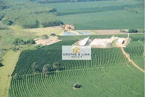 Fazenda de 530 ha em Piumhi, MG