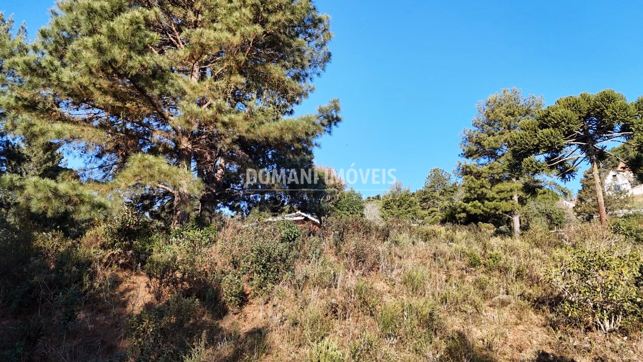 Plot of 1,700 m² in Campos do Jordão, SP, Brazil