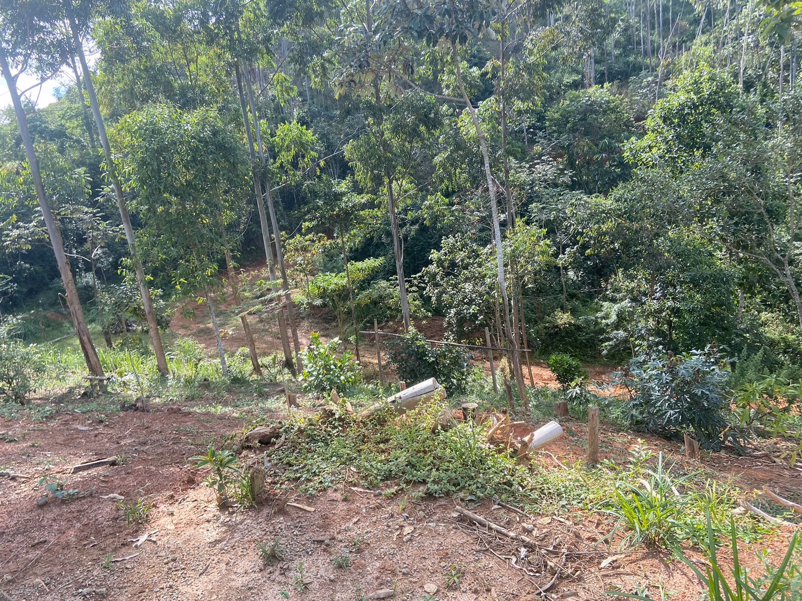 Terreno de 4 ha em Monteiro Lobato, SP