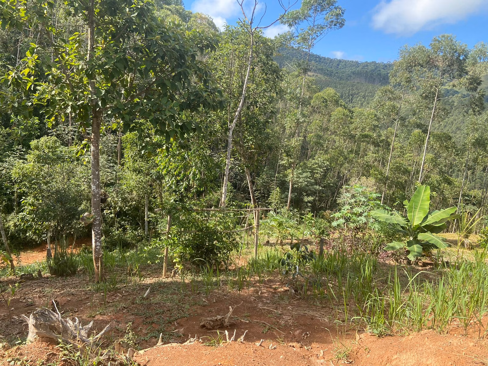 Plot of 9 acres in Monteiro Lobato, SP, Brazil
