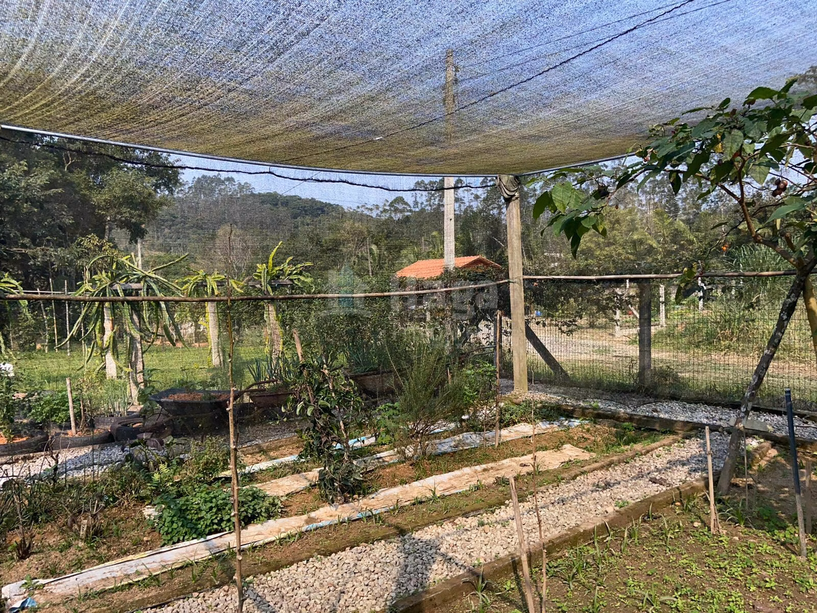 Chácara de 9.800 m² em Canelinha, SC