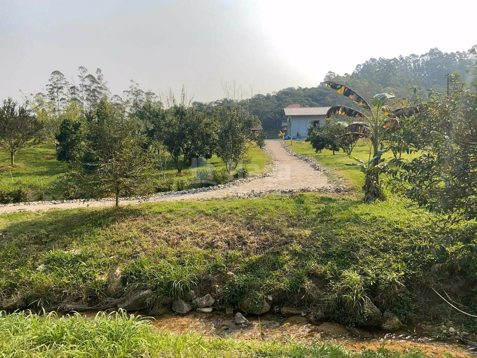 Chácara de 9.800 m² em Canelinha, SC