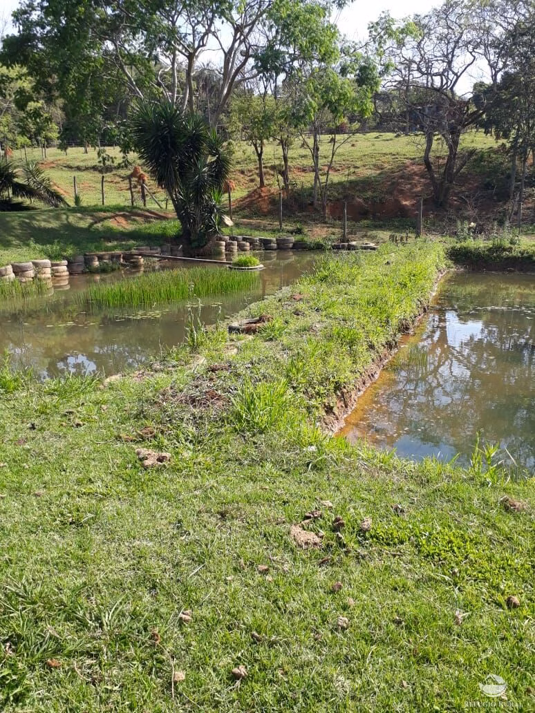 Sítio de 3 ha em Itapira, SP