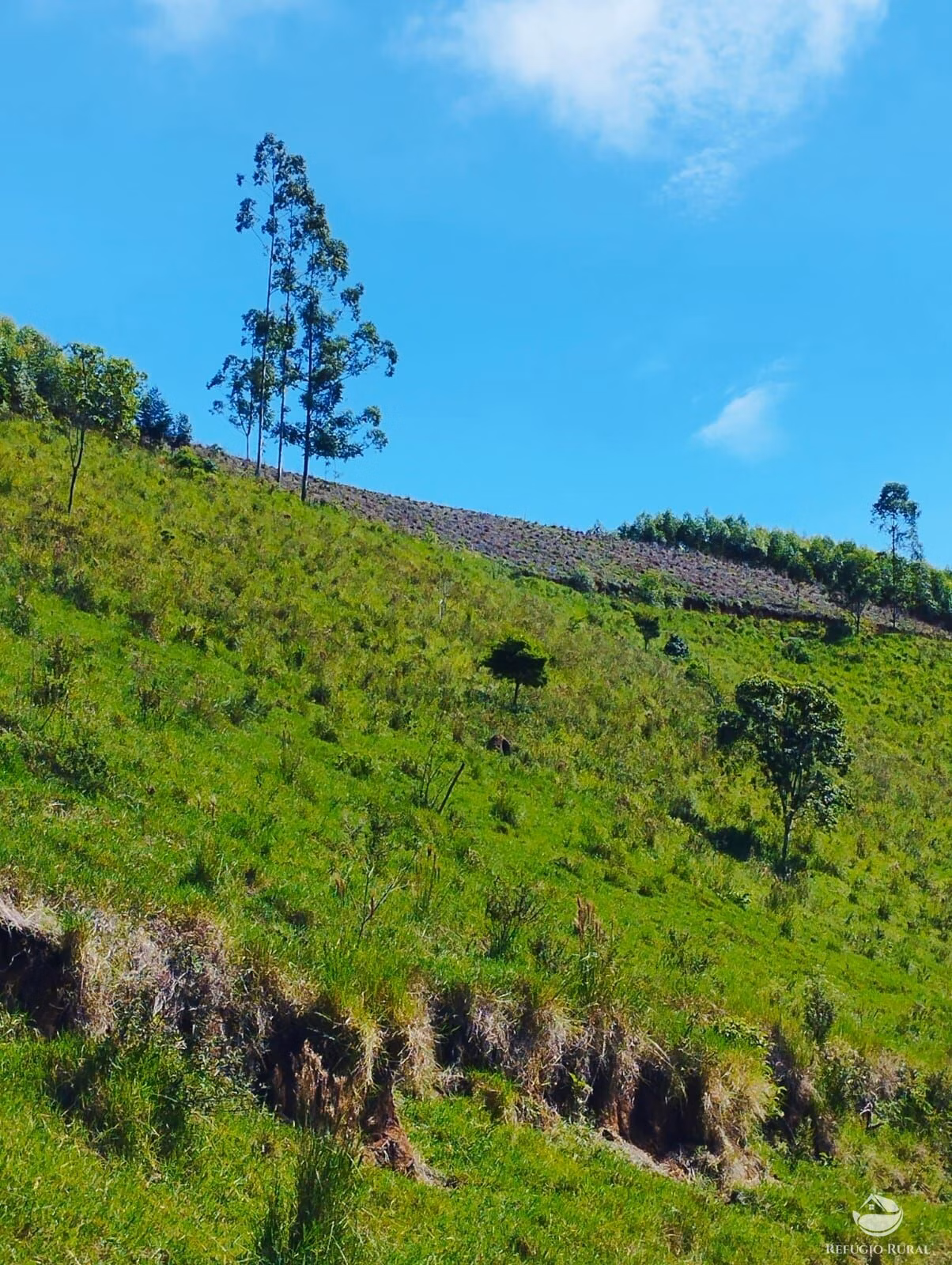 Chácara de 8.397 m² em Igaratá, SP