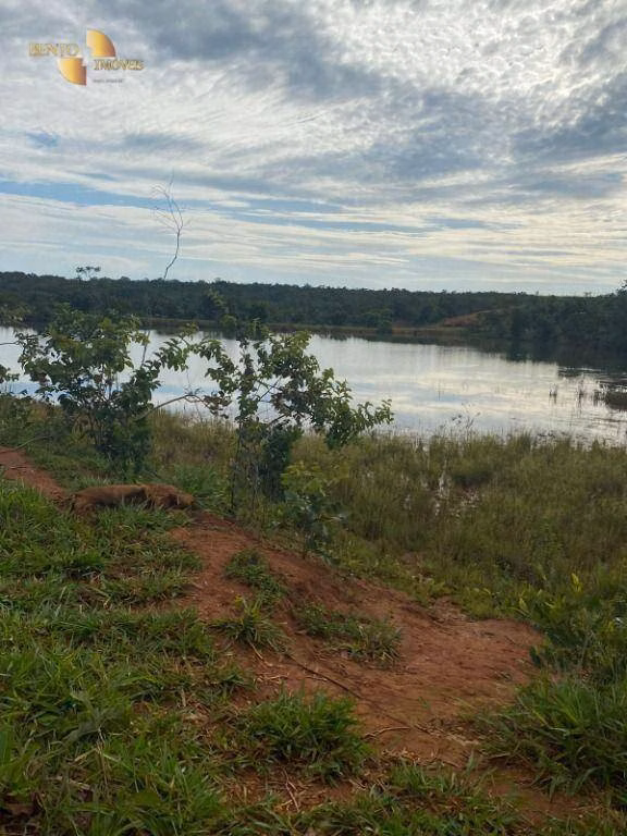 Fazenda de 300 ha em Diamantino, MT