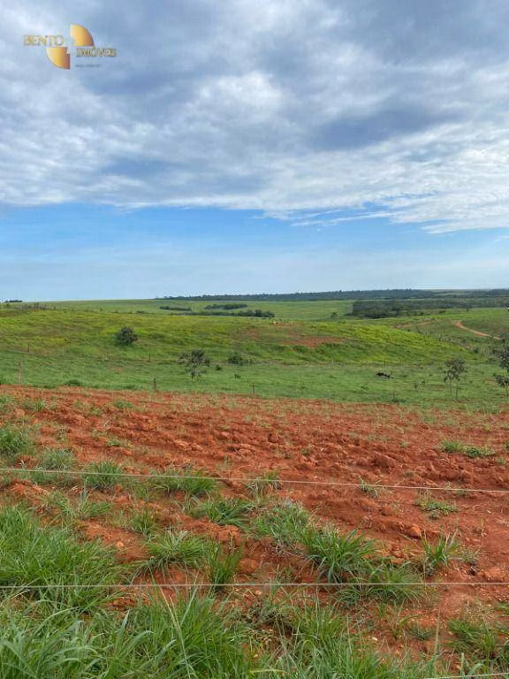 Fazenda de 300 ha em Diamantino, MT