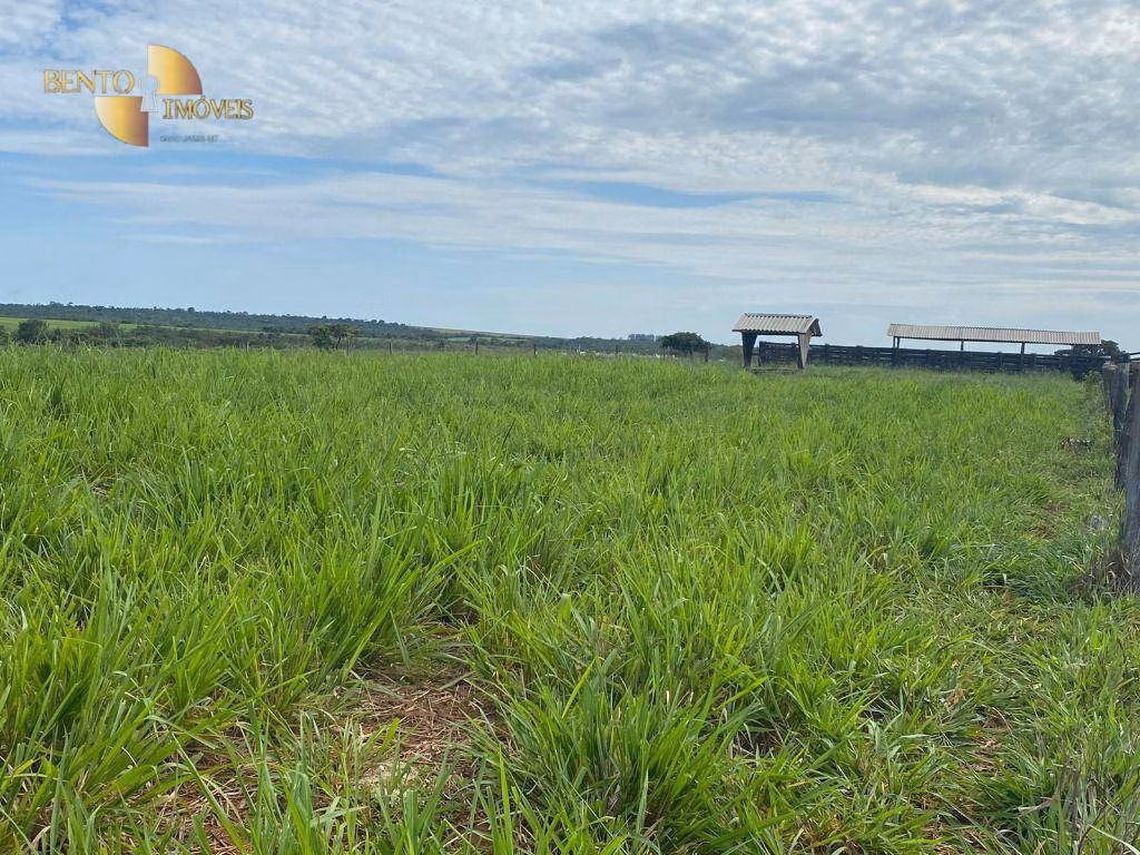Fazenda de 300 ha em Diamantino, MT