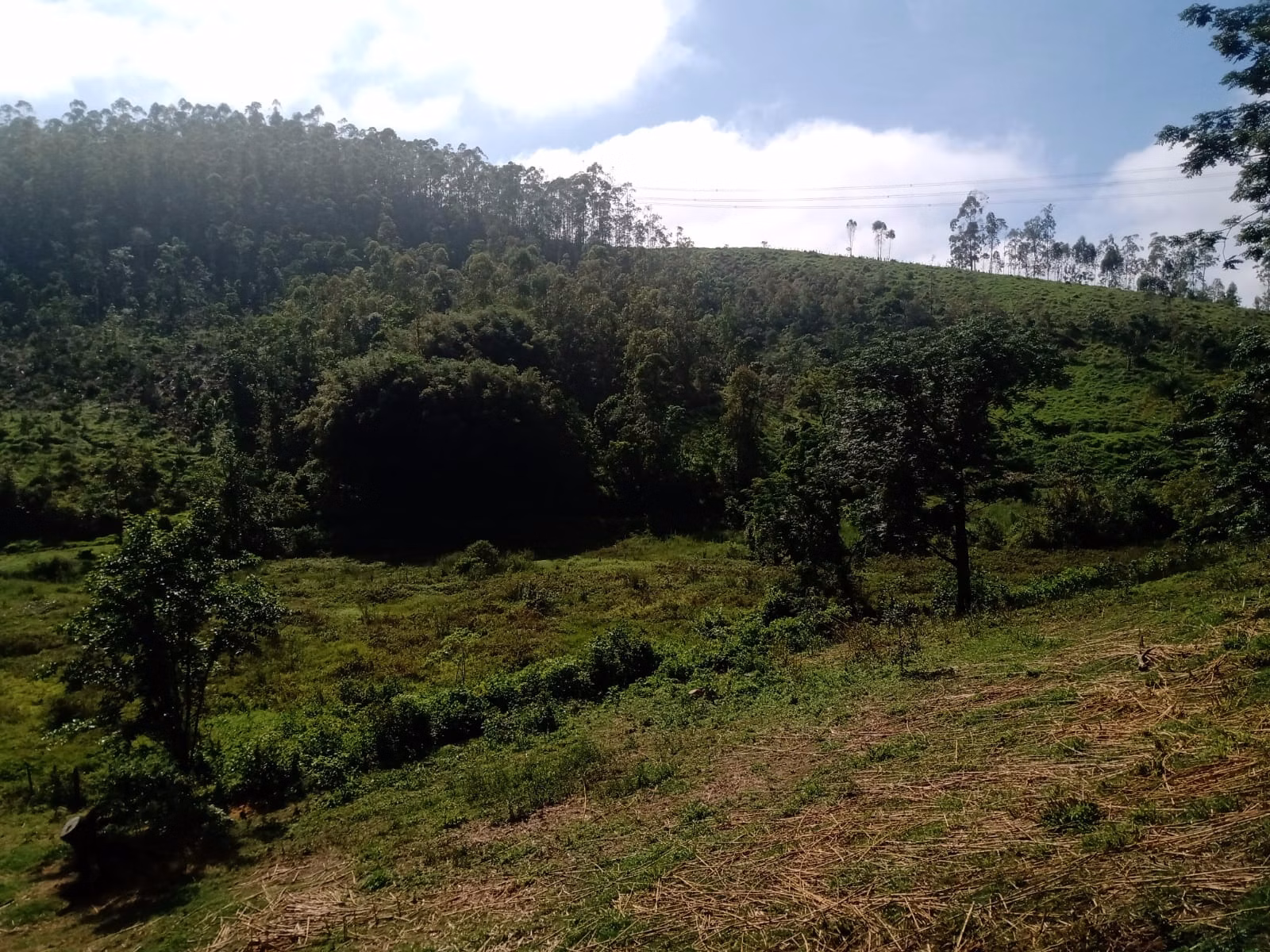 Terreno de 61 ha em São José dos Campos, SP