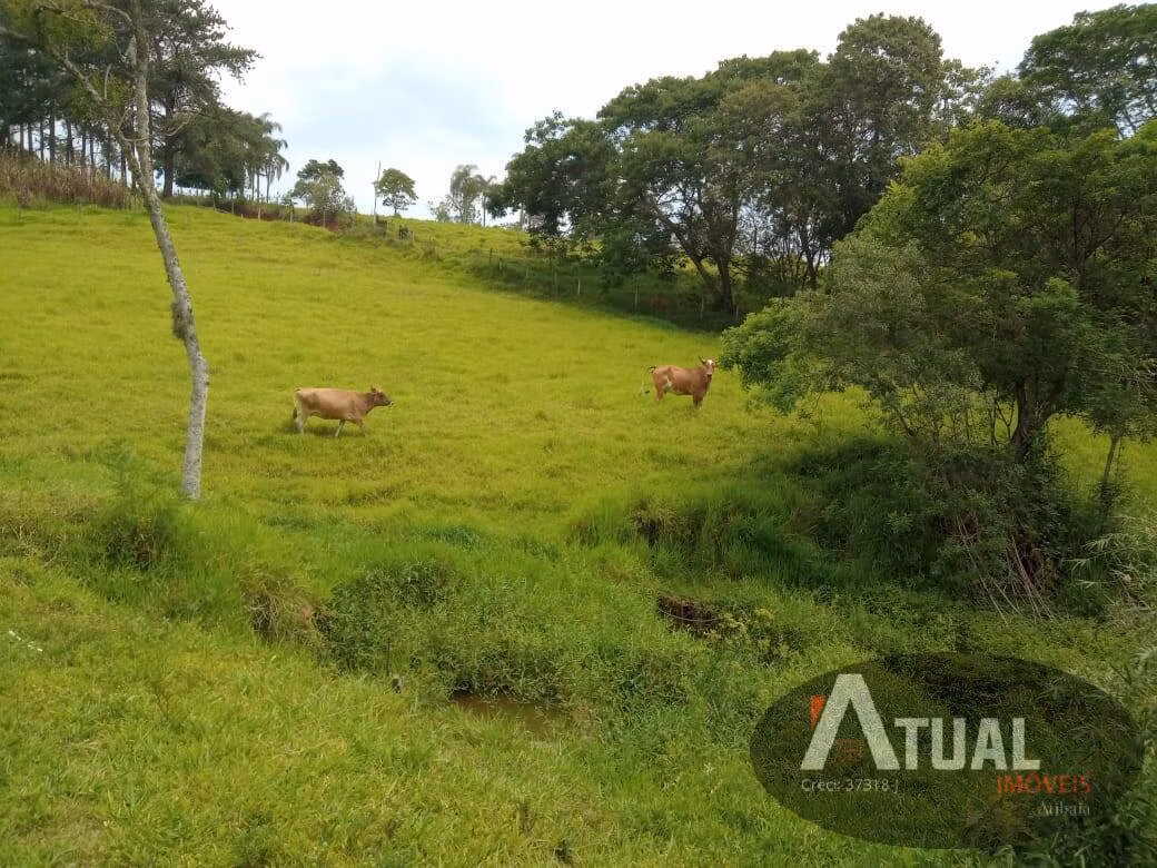 Chácara de 3 ha em Atibaia, SP