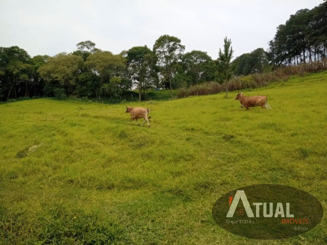 Chácara de 3 ha em Atibaia, SP