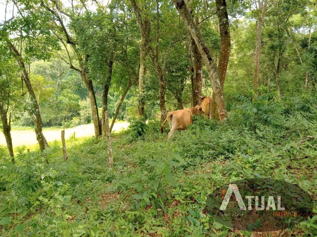 Chácara de 3 ha em Atibaia, SP