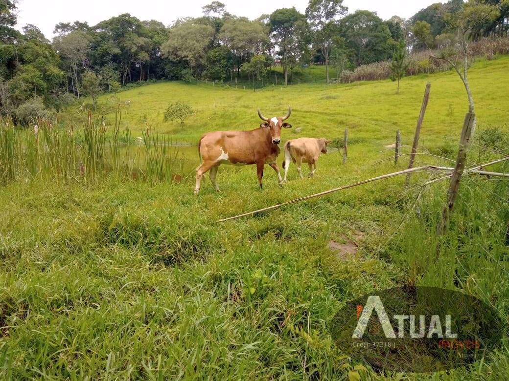 Country home of 8 acres in Atibaia, SP, Brazil