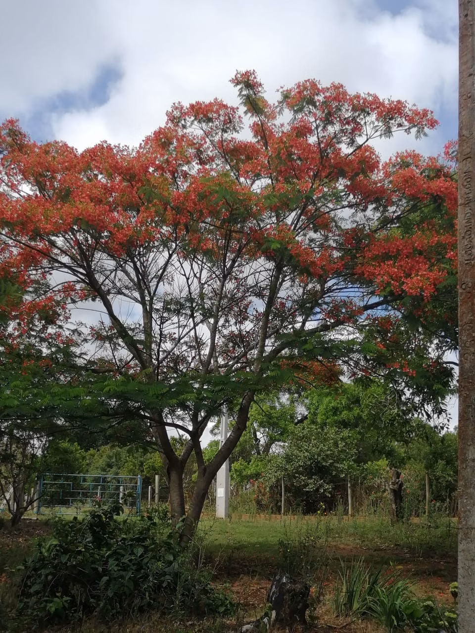 Chácara de 5 ha em Itapetininga, SP