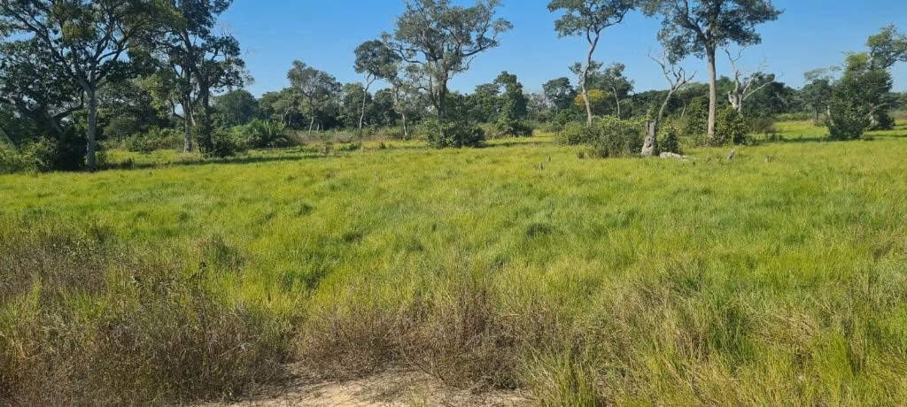 Farm of 40,525 acres in Poconé, MT, Brazil