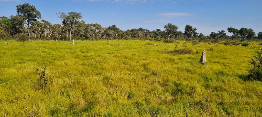 Farm of 40,525 acres in Poconé, MT, Brazil