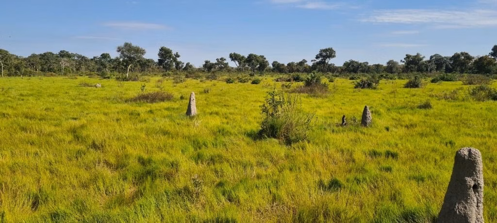 Farm of 40,525 acres in Poconé, MT, Brazil