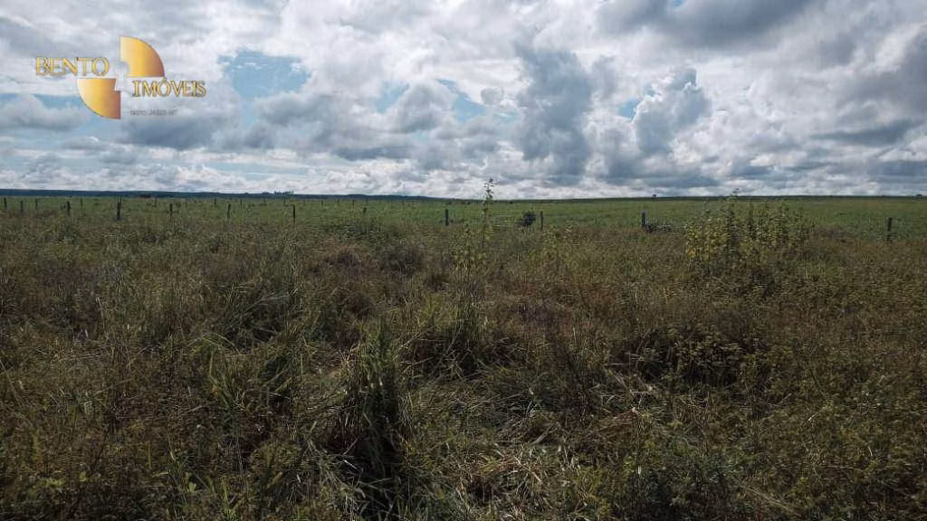 Farm of 7.487 acres in Itiquira, MT, Brazil