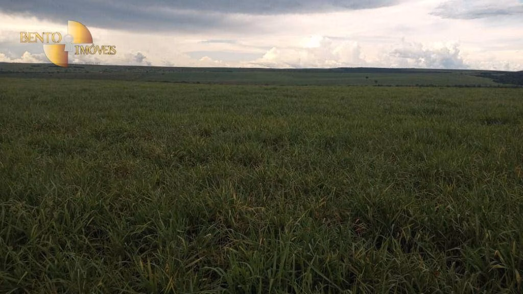 Fazenda de 3.030 ha em Itiquira, MT
