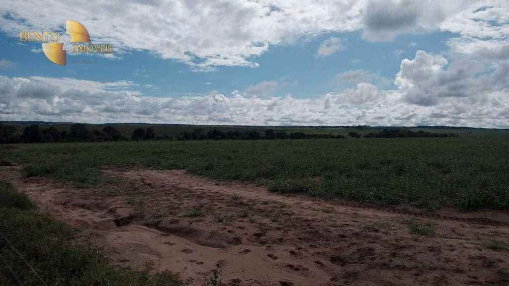 Fazenda de 3.030 ha em Itiquira, MT