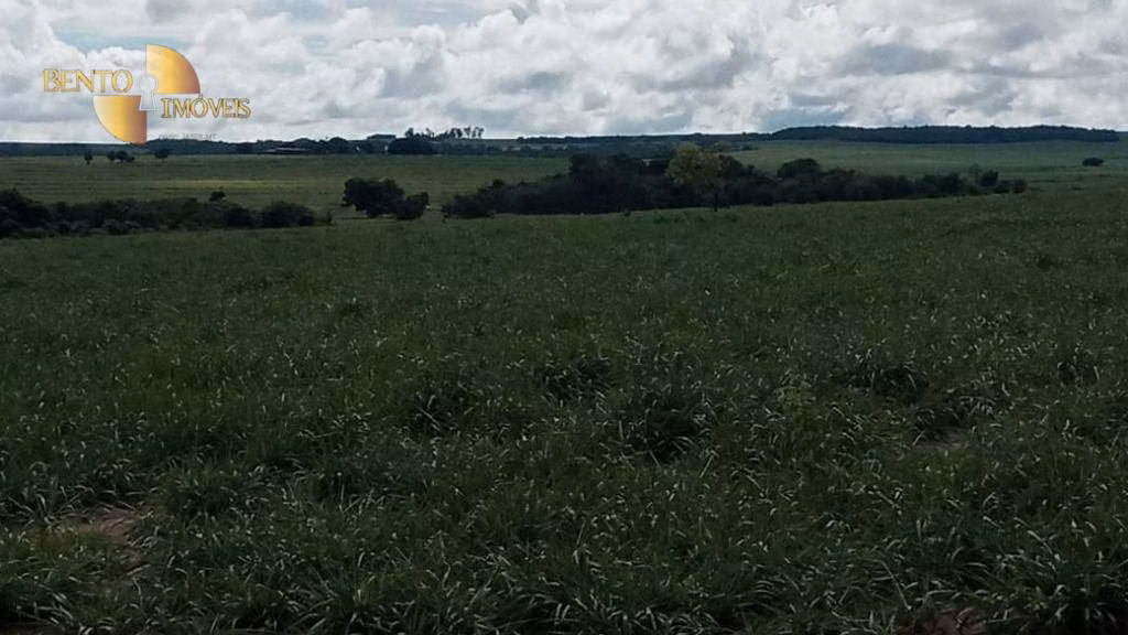 Fazenda de 3.030 ha em Itiquira, MT