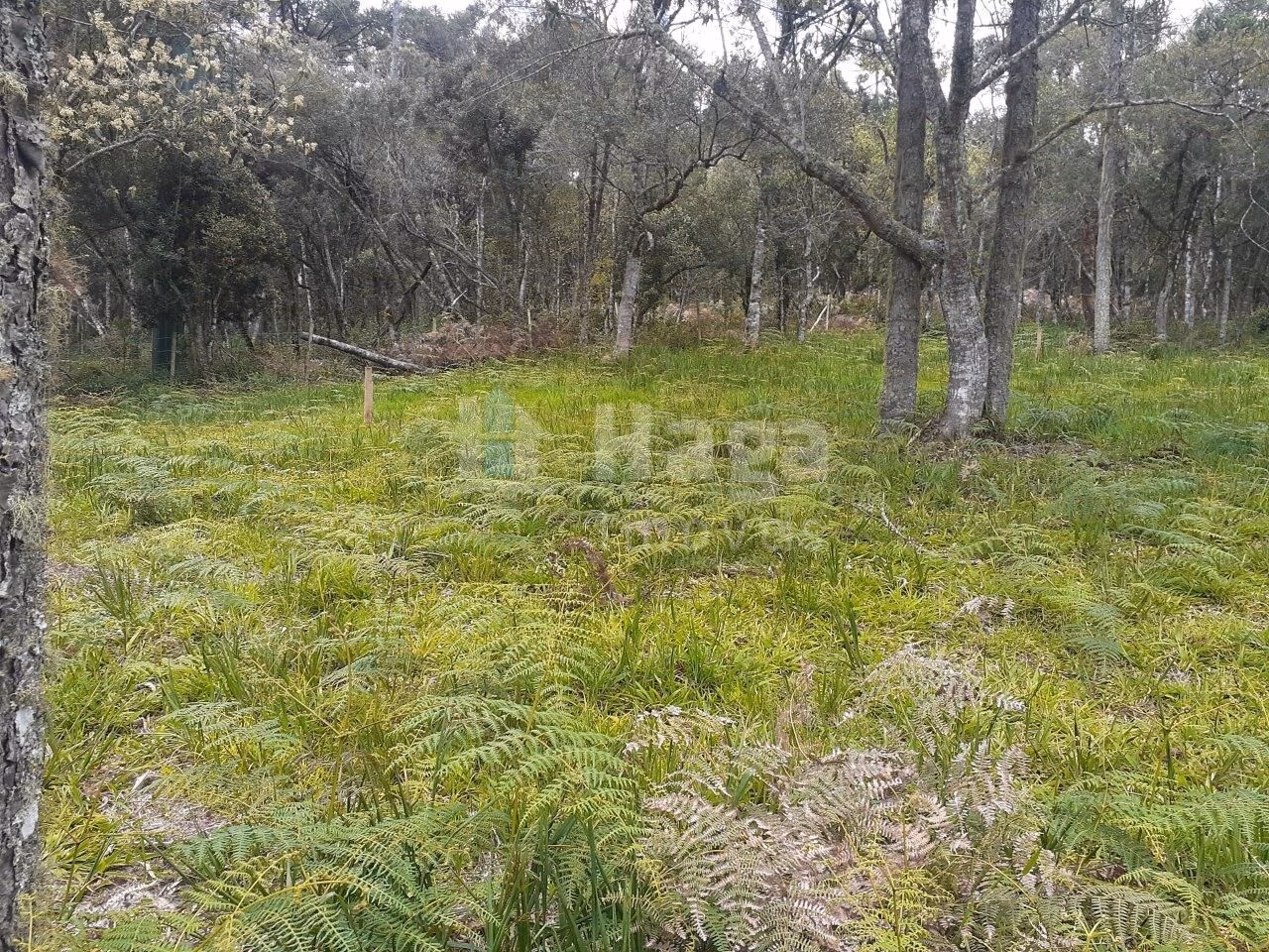 Fazenda de 78 m² em Urubici, SC