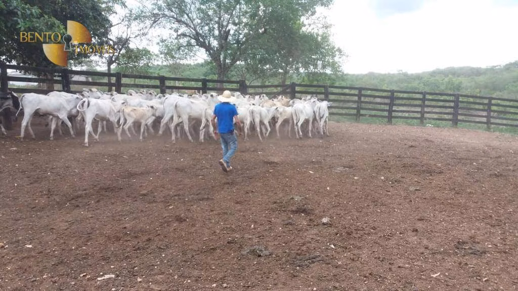 Fazenda de 1.659 ha em Cuiabá, MT