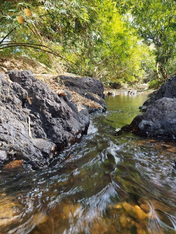 Fazenda de 1.659 ha em Cuiabá, MT