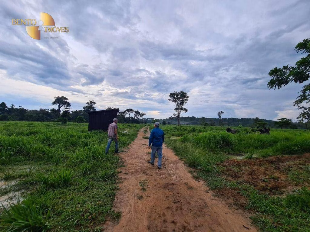 Fazenda de 2.057 ha em Nova Bandeirantes, MT