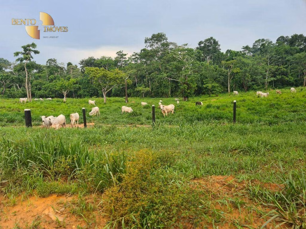 Fazenda de 2.057 ha em Nova Bandeirantes, MT