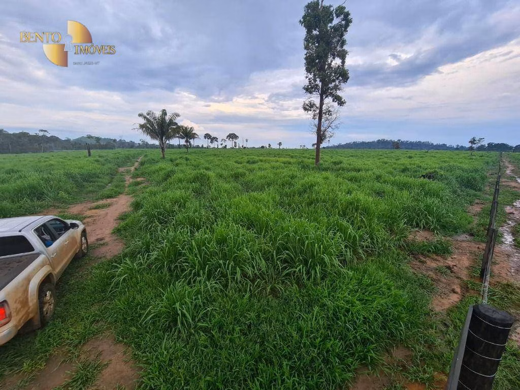 Fazenda de 2.057 ha em Nova Bandeirantes, MT