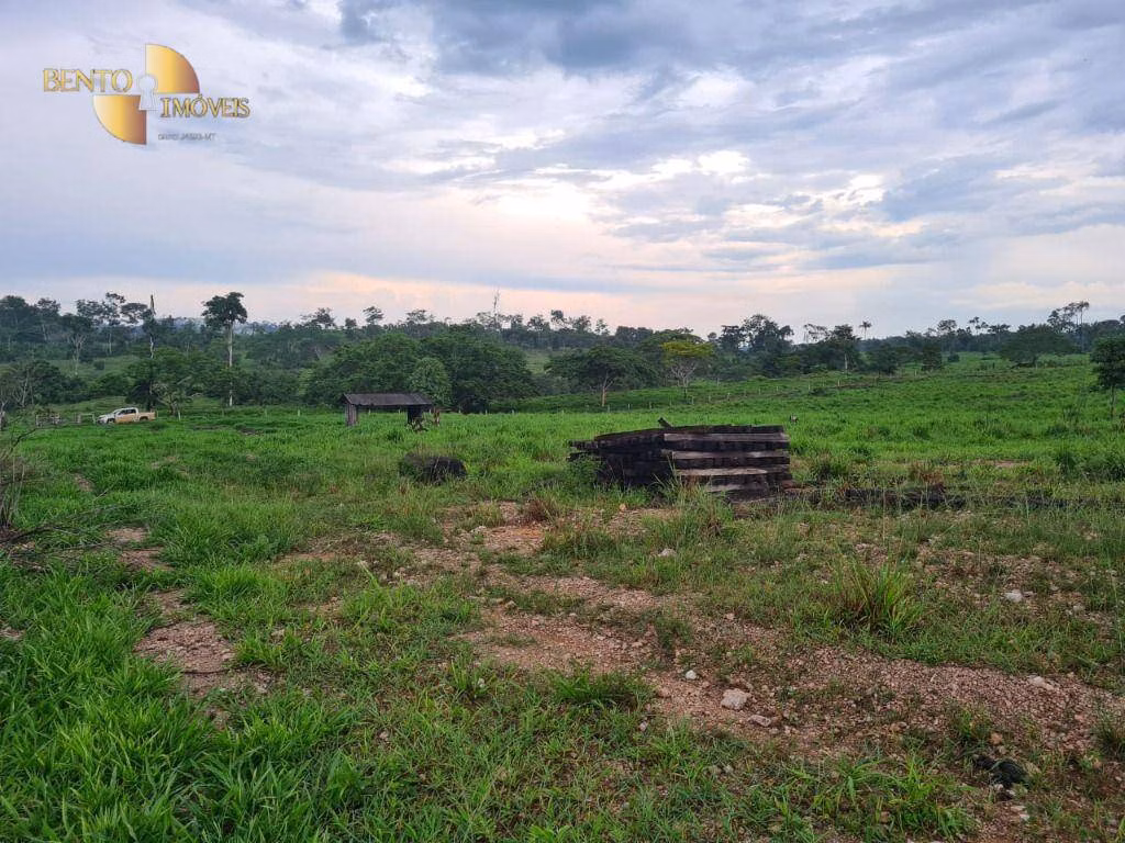 Fazenda de 2.057 ha em Nova Bandeirantes, MT