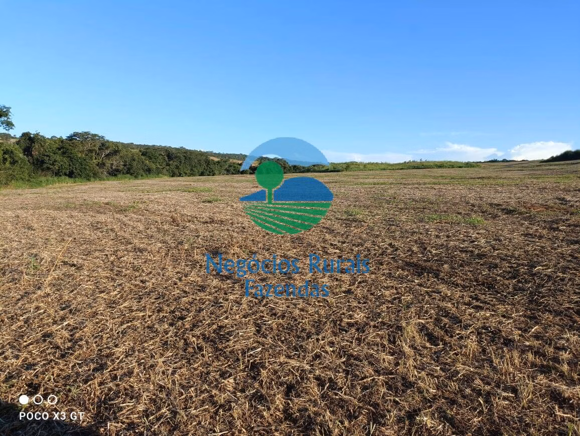 Fazenda de 159 ha em Ipameri, GO