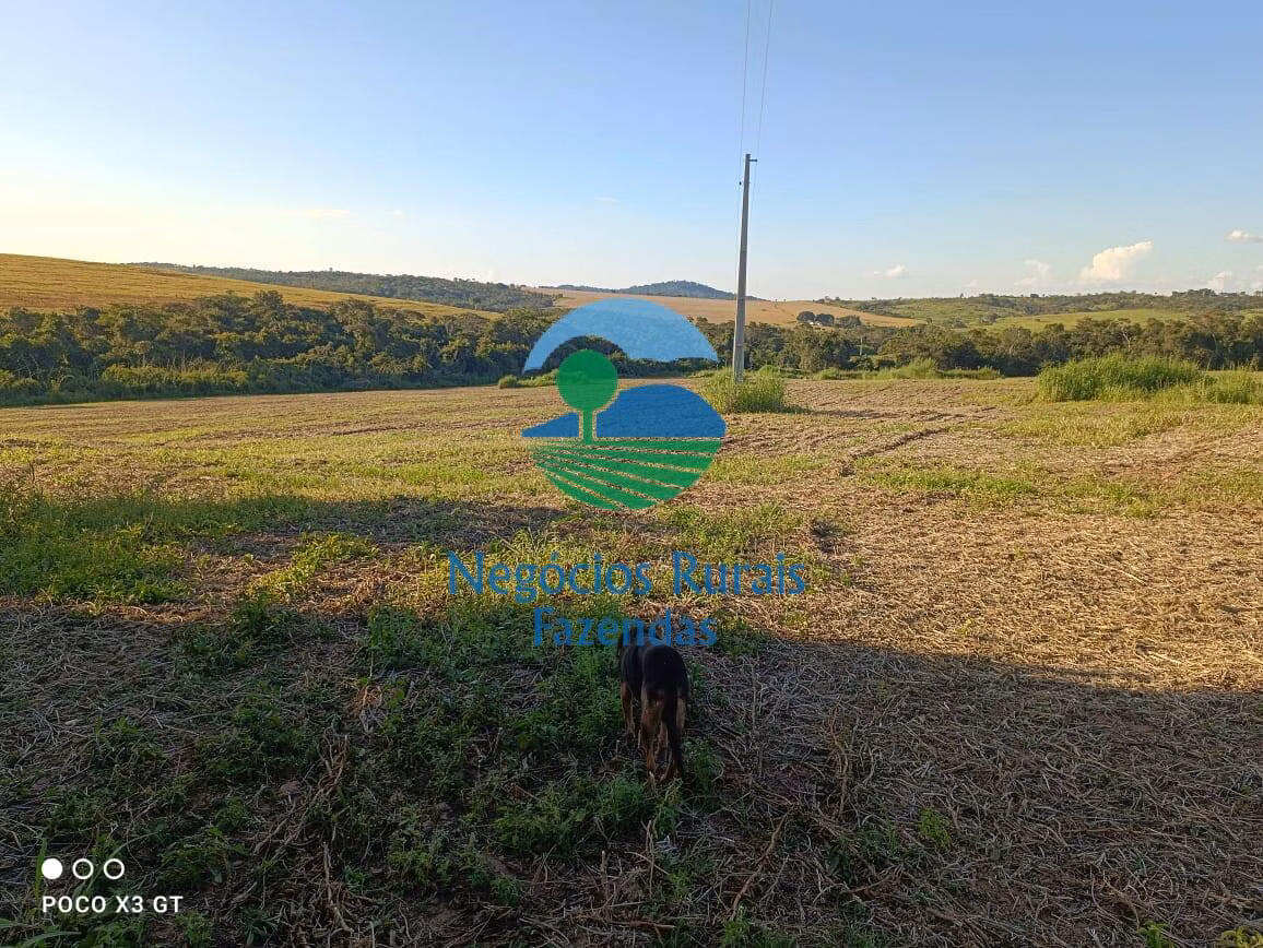 Fazenda de 159 ha em Ipameri, GO