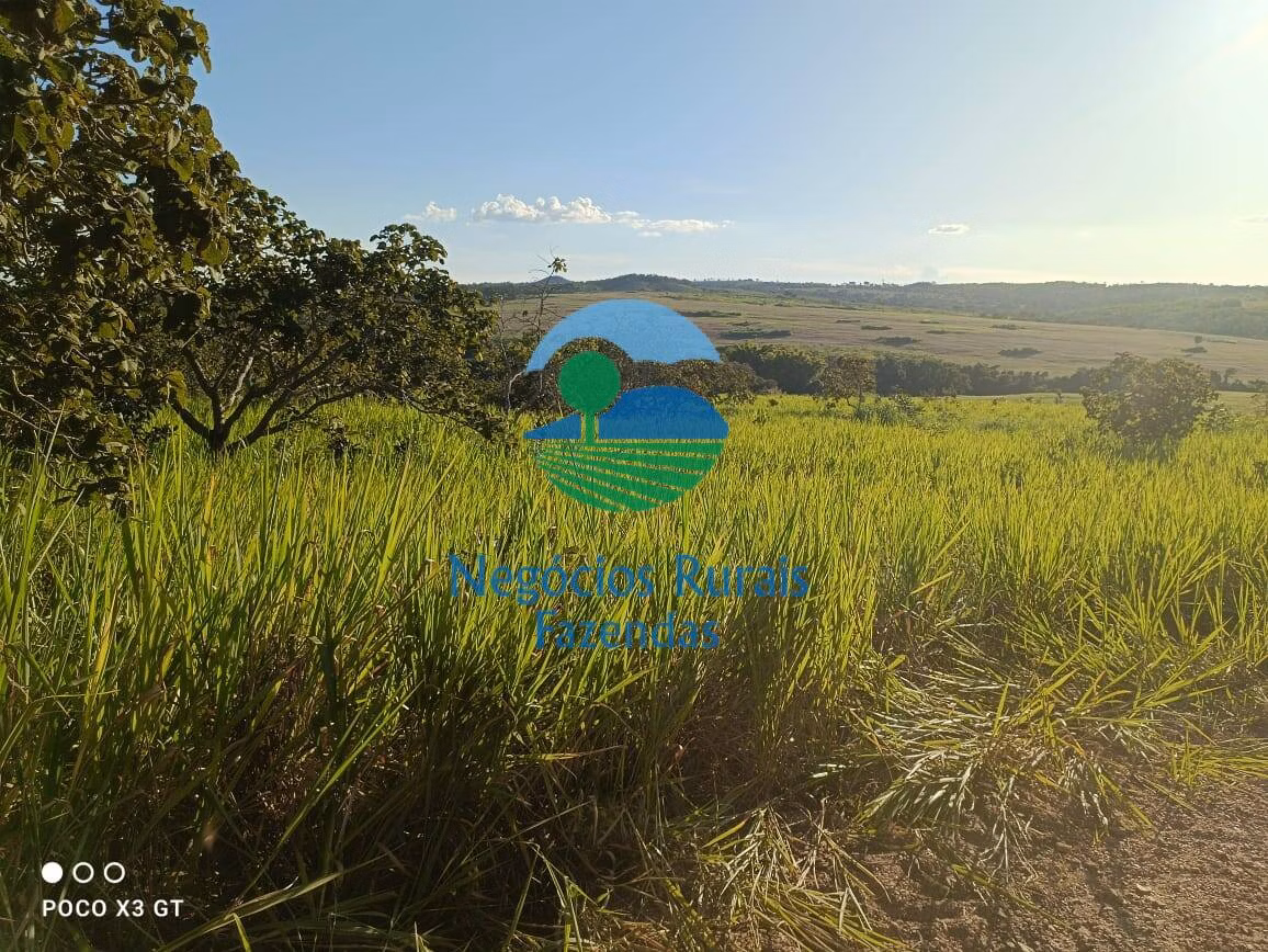 Fazenda de 159 ha em Ipameri, GO