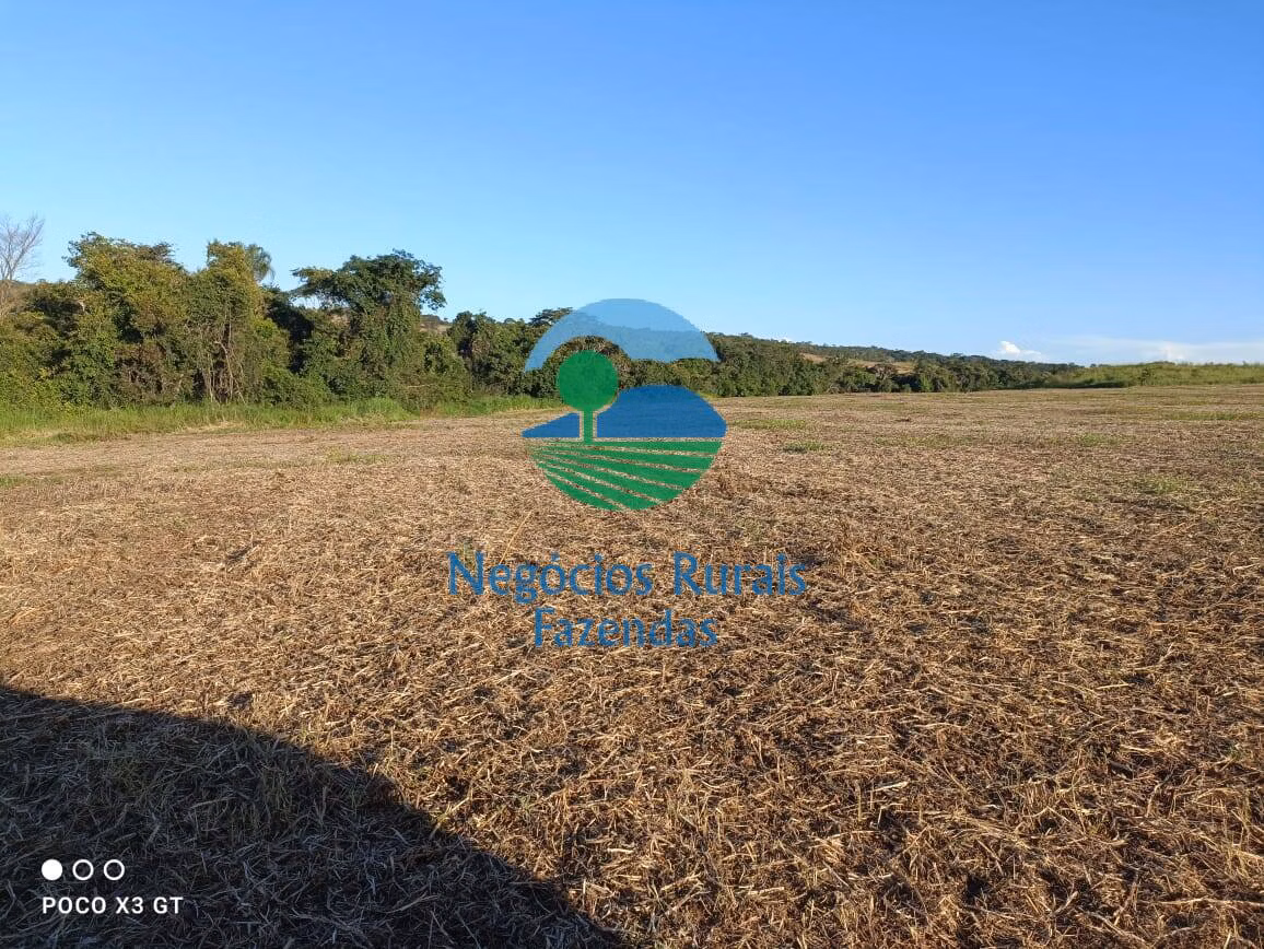 Fazenda de 159 ha em Ipameri, GO