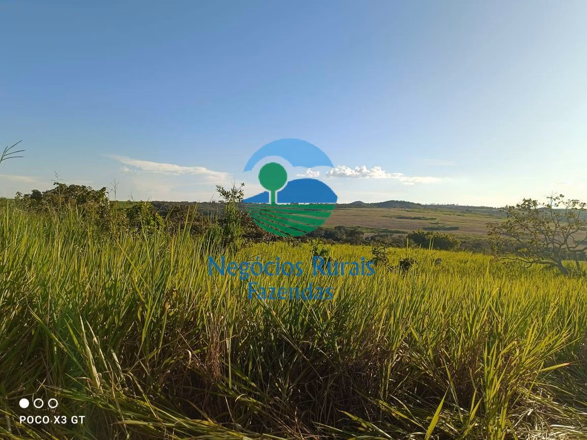 Fazenda de 159 ha em Ipameri, GO