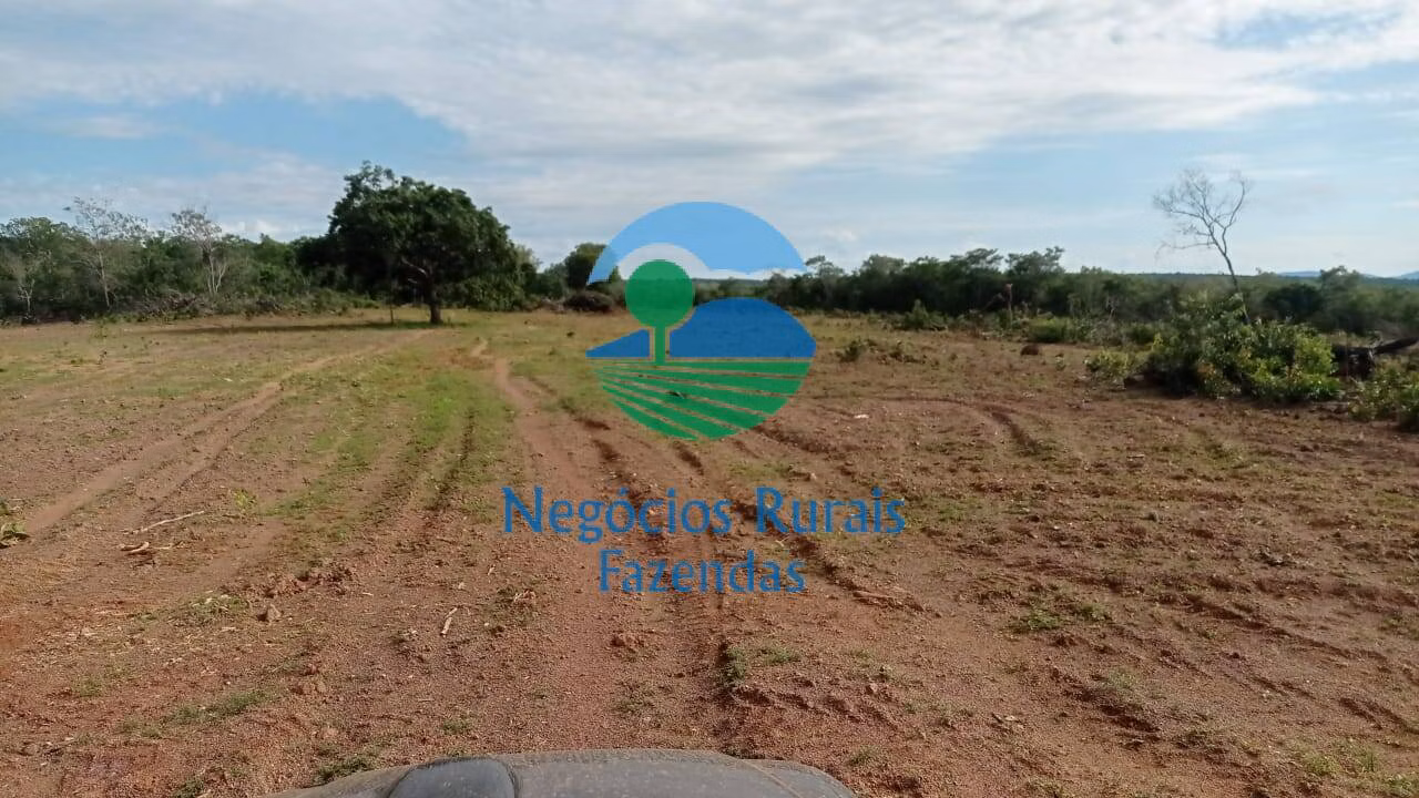 Fazenda de 561 ha em Porangatu, GO