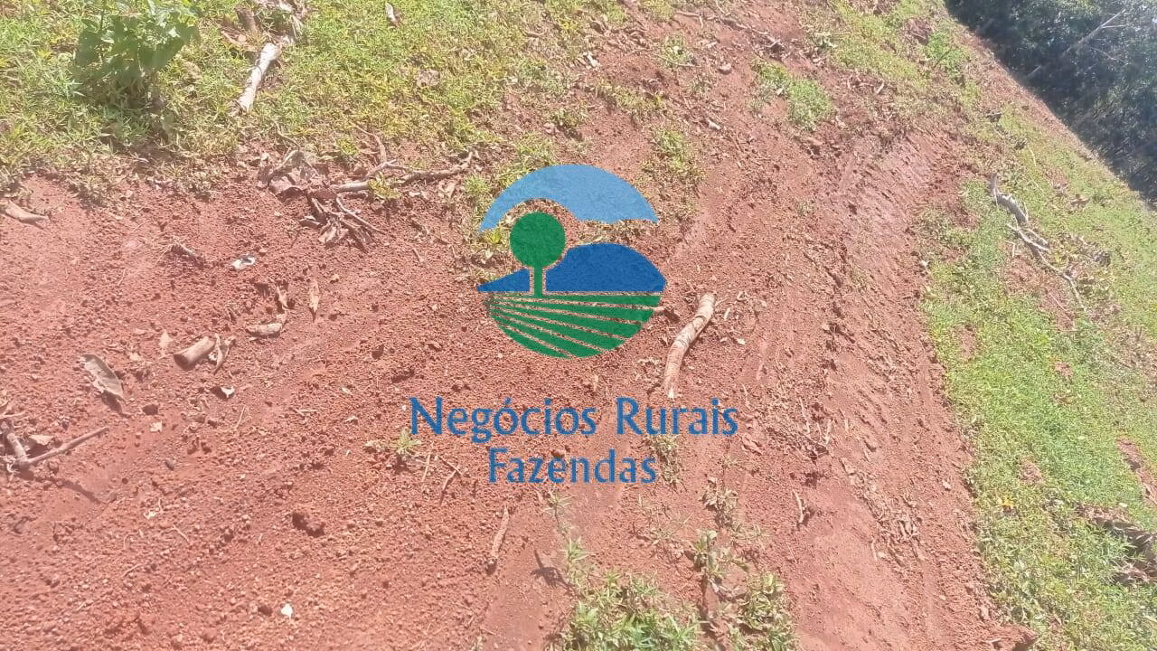 Fazenda de 561 ha em Porangatu, GO